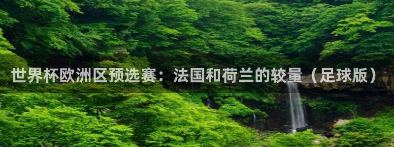 2026世界杯德国队阵容:世界杯欧洲区预选赛:法国和荷兰的较量(足球版)