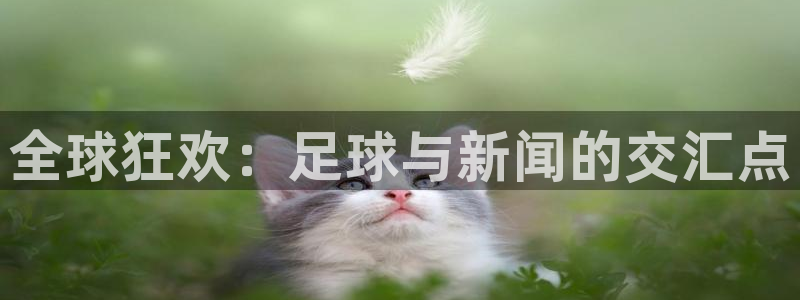 2026世界杯亚洲区预选赛赛程:全球狂欢:足球与新闻的交汇点