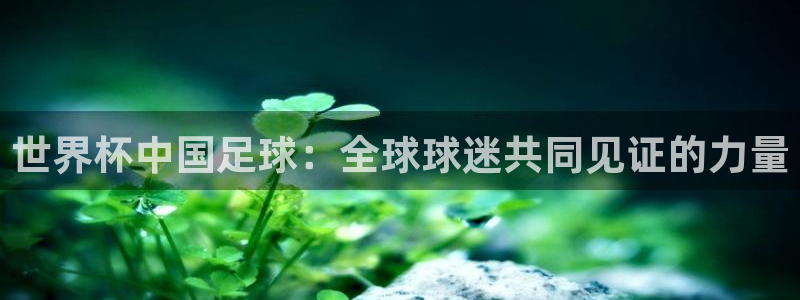 世界杯2026赛程时间表格:世界杯中国足球:全球球迷共同见证的力量