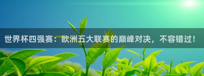 美洲杯直播:世界杯四强赛:欧洲五大联赛的巅峰对决,不容错过!
