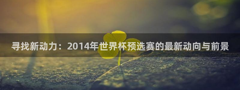 世界杯亚洲区预选赛赛程:寻找新动力:2014年世界杯预选赛的最新动向与前景