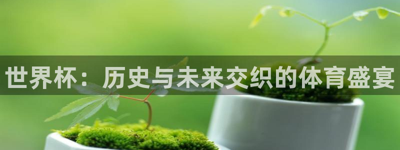 世界杯预选赛排名:世界杯:历史与未来交织的体育盛宴